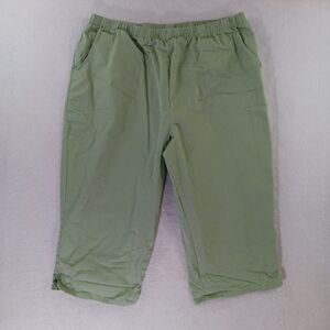 D&co Capri Pants Women's Size 2X Green